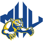 air force.png