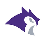 air force.png